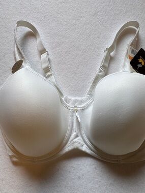 WACOAL NWT TShirt Bra 34 DD